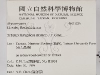 登錄號:F0021226藏品圖，第2張