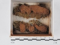登錄號:F0021226藏品圖，第1張