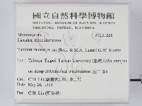 登錄號:F0021228藏品圖，第2張