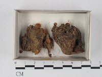 登錄號:F0021228藏品圖，第1張