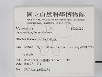登錄號:F0021230藏品圖，第2張