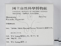 登錄號:F0021234藏品圖，第2張
