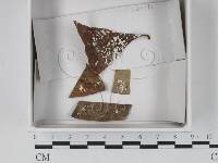 登錄號:F0021234藏品圖，第1張