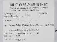 登錄號:F0021236藏品圖，第2張