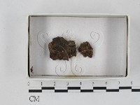 登錄號:F0021236藏品圖，第1張