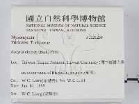 登錄號:F0021238藏品圖，第2張