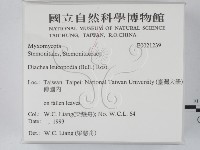 登錄號:F0021239藏品圖，第2張