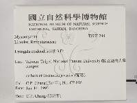 登錄號:F0021240藏品圖，第2張
