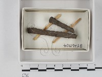 登錄號:F0021243藏品圖，第1張