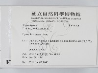 館號:F0021244藏品圖，第2張