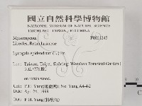 登錄號:F0021245藏品圖，第2張