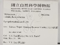 登錄號:F0021246藏品圖，第2張