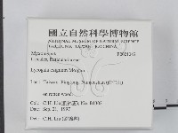 登錄號:F0021247藏品圖，第2張