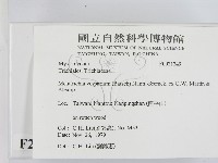 登錄號:F0021249藏品圖，第2張