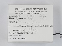 登錄號:F0021250藏品圖，第2張