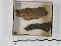 登錄號:F0021250藏品圖，第1張