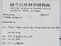 登錄號:F0021251藏品圖，第2張