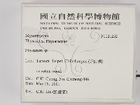 登錄號:F0021252藏品圖，第2張