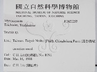 登錄號:F0021253藏品圖，第2張