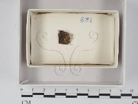 登錄號:F0021253藏品圖，第1張