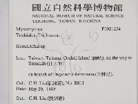 登錄號:F0021254藏品圖，第2張