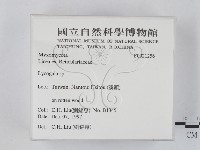 登錄號:F0021256藏品圖，第2張