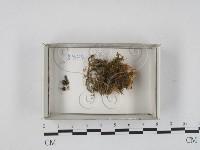 登錄號:F0021256藏品圖，第1張