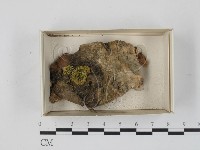 登錄號:F0021257藏品圖，第1張