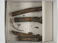登錄號:F0021258藏品圖，第1張