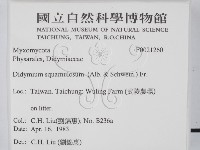 登錄號:F0021260藏品圖，第2張