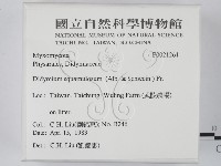 館號:F0021261藏品圖，第2張