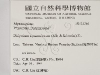 登錄號:F0021264藏品圖，第2張