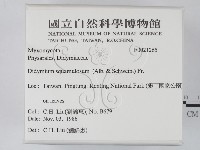 登錄號:F0021265藏品圖，第2張