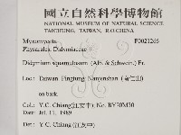 登錄號:F0021266藏品圖，第2張