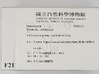 登錄號:F0021267藏品圖，第2張