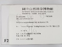 館號:F0021268藏品圖，第2張