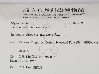 登錄號:F0021269藏品圖，第2張