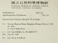 登錄號:F0021270藏品圖，第2張