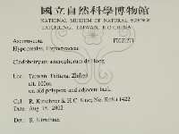登錄號:F0021271藏品圖，第2張