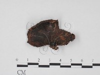 登錄號:F0021271藏品圖，第1張