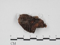 登錄號:F0021271藏品圖，第3張