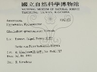 登錄號:F0021273藏品圖，第2張