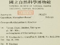 登錄號:F0021274藏品圖，第2張