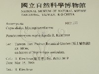登錄號:F0021277藏品圖，第2張