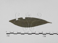 登錄號:F0021278藏品圖，第3張