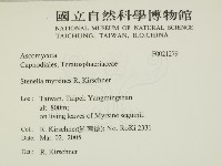 登錄號:F0021279藏品圖，第2張