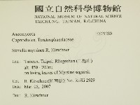 登錄號:F0021280藏品圖，第2張