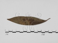 登錄號:F0021280藏品圖，第3張