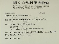 登錄號:F0021281藏品圖，第2張