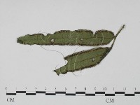 登錄號:F0021282藏品圖，第1張